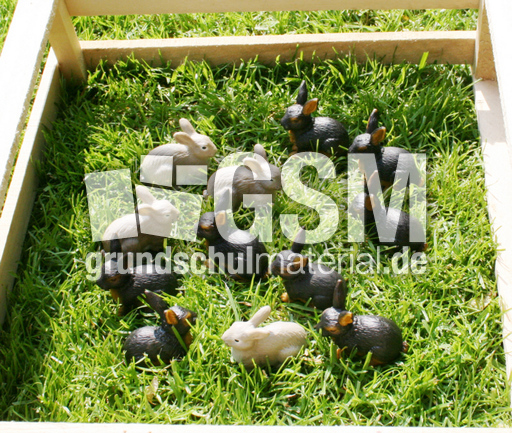 Kaninchen-12E.jpg